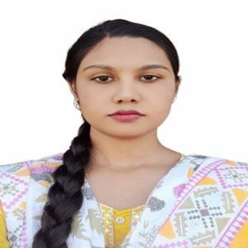 Promote Interest in Programming